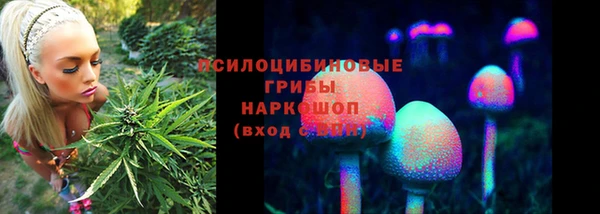 прущие грибы Нея
