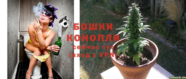 бошки Нефтегорск
