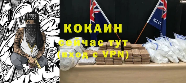 прущие грибы Нея