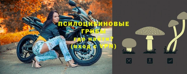 бошки Нефтегорск