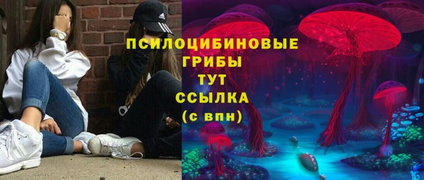 бошки Нефтегорск
