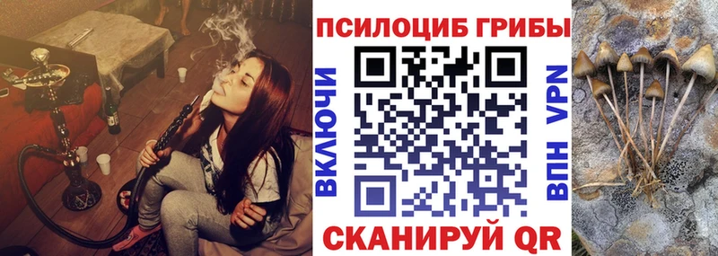 купить закладку Кашин Галлюциногенные грибы мицелий